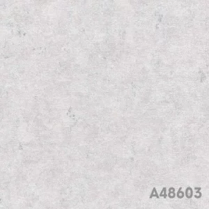 A48603