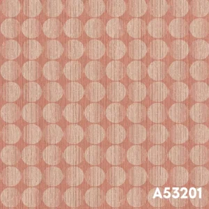 A53201