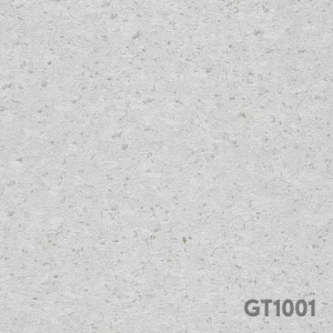 GT1001