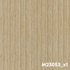 M23053_x1