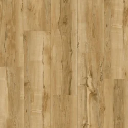 EXOTIC MAPLE