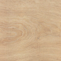 SMART TANZANIA ALMOND