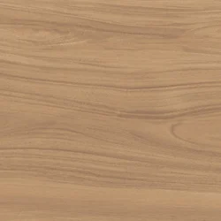 EWOOD CAMEL NATURE PORCELANICO