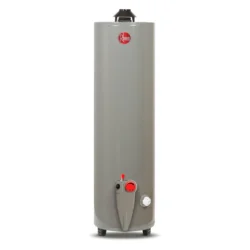 CALENTADOR 114L GAS NATURAL