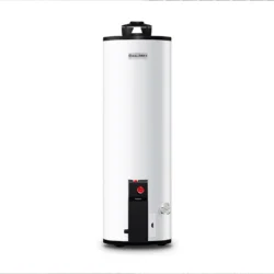 CALENTADOR DEPÓSITO MAXIMUS G30 G2 LP