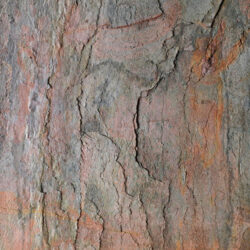 AIRSLATE KATHMANDU BPT